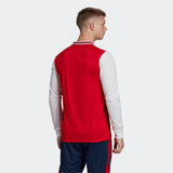 ADIDAS DENNIS BERGKAMP ARSENAL LONG SLEEVE HOME JERSEY 2019/20 4