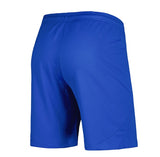 NIKE FC BARCELONA AWAY SHORTS 2023/24 2