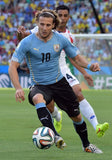 PUMA DIEGO FORLAN URUGUAY HOME JERSEY FIFA WORLD CUP 2014 3